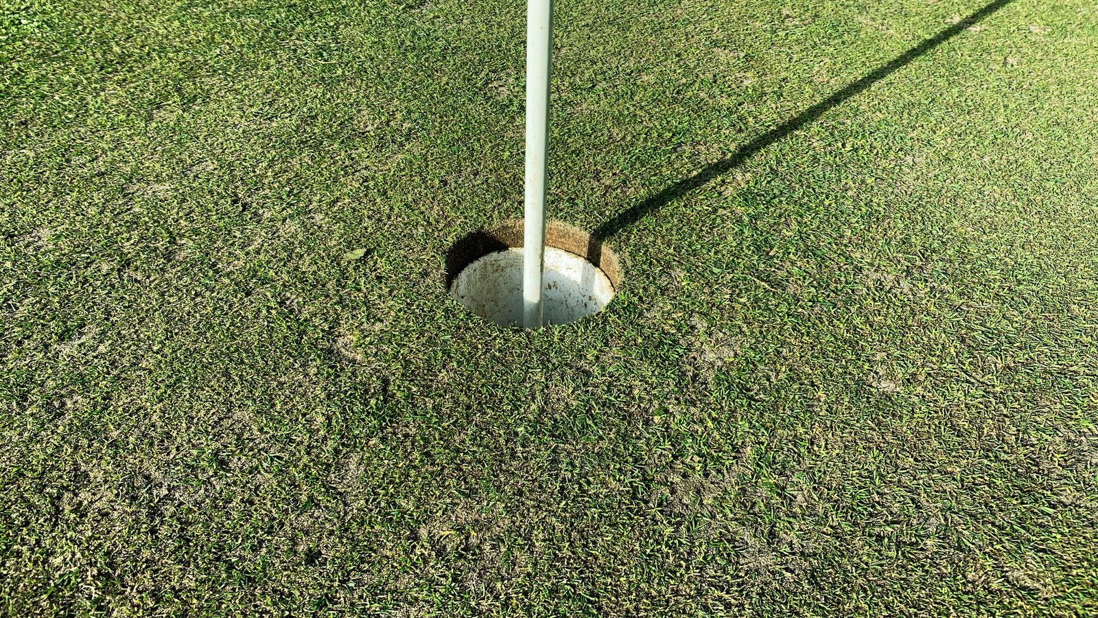 Did you know this rule on ACCIDENTALLY HITTING your ball on the GREEN?